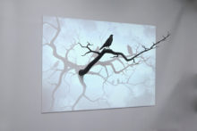 Pascal Haudressy, Crow, 2013, Mixed technique, resin, painting, wood and video projection, 280 x 170 cm, numeric loop