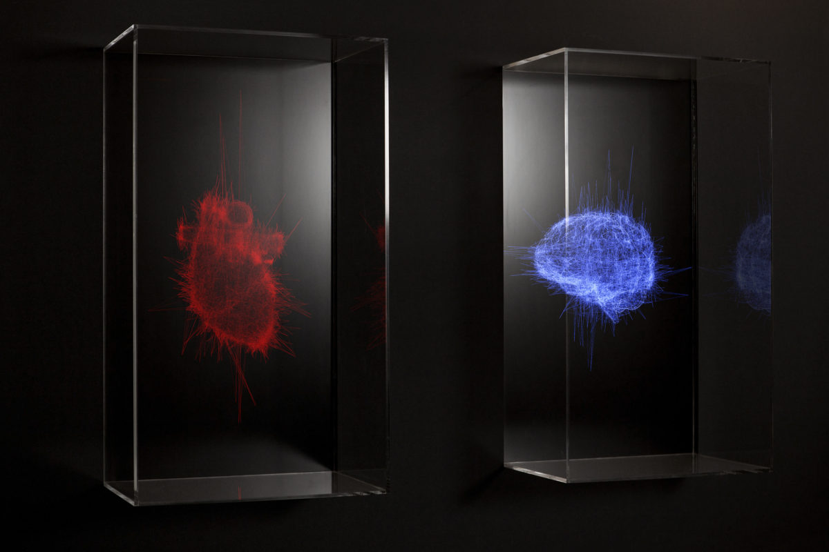 Pascal Haudressy, Dyptique, 2009, Screen, video and plexiglass, Variable dimensions, numeric loop