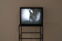 Pedro A.H. Paixão, Kiss and Slap, 1998, Video 4:3 on monitor black and white, 4.46s loop