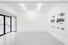 Lucile Bertrand, exhibition view of 