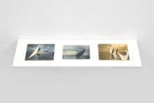 Rui Calçada Bastos, Hypothetical Geographies, 2000, postcard and balsa wood on shelf, 11,5 x 17 cm