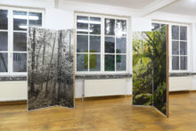 Stijn Cole, exhibition view at 