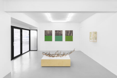 Stijn Cole and Elise Peroi, exhibition view of 