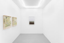 Stijn Cole and Elise Peroi, exhibition view of 