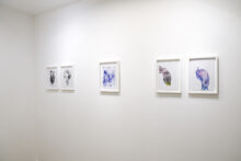 Tatiana Wolska, exhibition view of Belladone at the Drawing Lab, Paris (FR), 2025