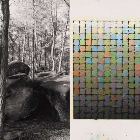 Stijn Cole, Souvenir Fontainebleau 15/03/2024 14:54, 2025, oil on inkjetprint, 33,2 x 45,8 cm (framed) (detail)