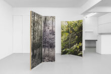 Stijn Cole, exhibition view of '≈ 530 nanomètres' at Irène Laub gallery, Brussels (BE), 2026 (© Hugard & Vanoverschelde)