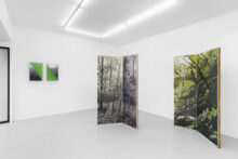 Stijn Cole, exhibition view of '≈ 530 nanomètres' at Irène Laub gallery, Brussels (BE), 2026 (© Hugard & Vanoverschelde)